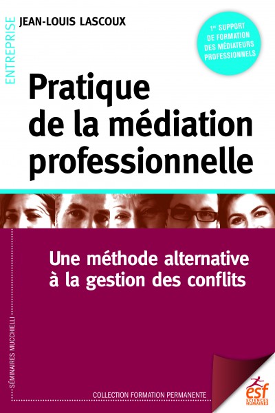 Pratique de la médiation professionnelle